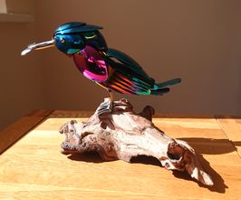 Iridescent Kingfisher 2023